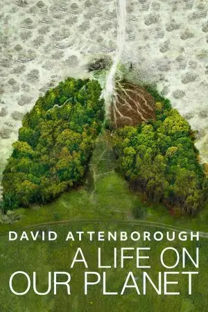 David Attenborough: Một cuộc đời trên Trái Đất David Attenborough: Một cuộc đời trên Trái Đất