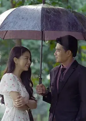 Hoa Hồng Giấy Hoa Hồng Giấy