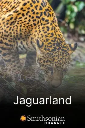 Jaguarland Jaguarland