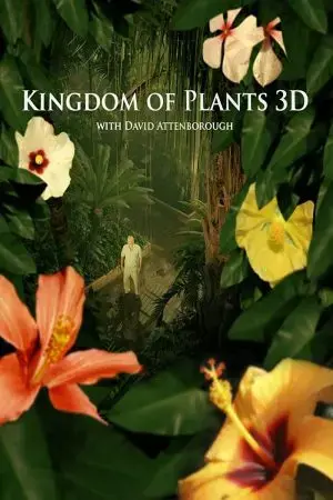Kingdom of Plants Kingdom of Plants