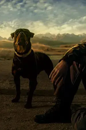 Kamen Rider Decade: All Riders Super Spin-off Kamen Rider Decade: All Riders Super Spin-off