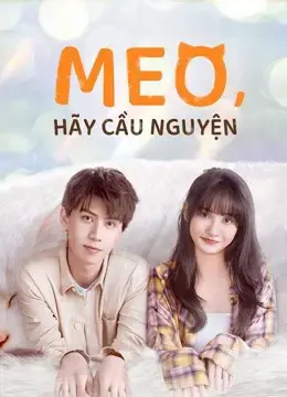 Meo, Hãy Cầu Nguyện Meo, Hãy Cầu Nguyện
