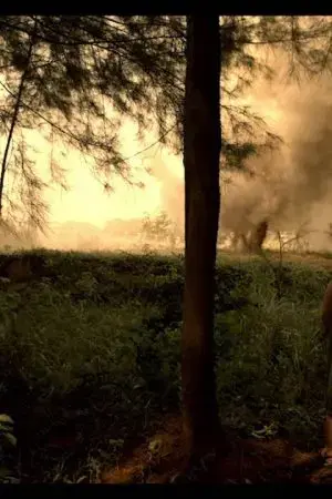 Không Thể Dừng Lại Không Thể Dừng Lại